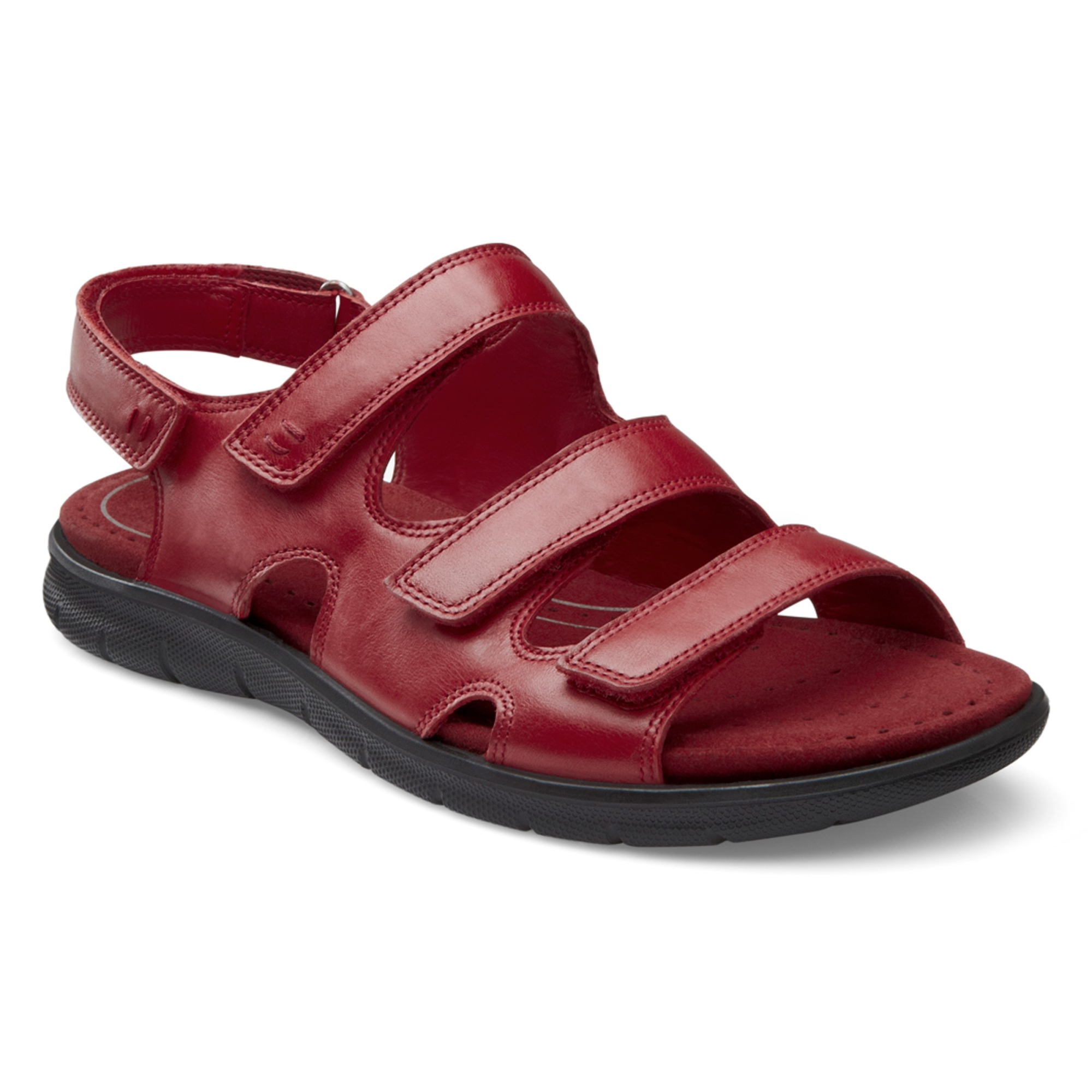 Ecco Babett Sandal 3 Strap 35 - Products - Veryk Mall - Mall, many quick response, safe your money!